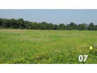 Property photo 185 - Land Auction - 3,379 Acres in 48 Tracts, 2,900 Acres Tillable, Large Contiguous Tracts - Investment Potential
